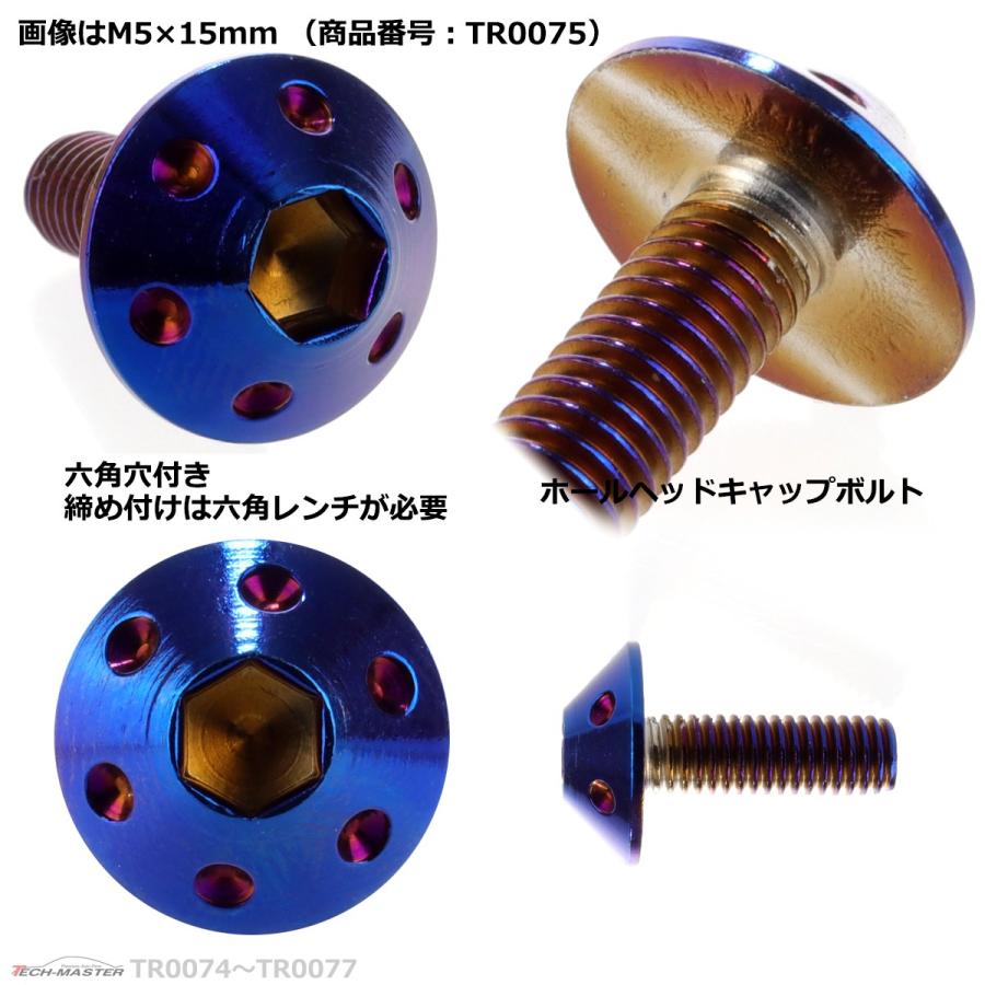 ボタンボルト M5×15mm P0.8 ホールヘッド ステンレス 焼きチタンカラー 1個 TR0075 | ブランド登録なし | 02