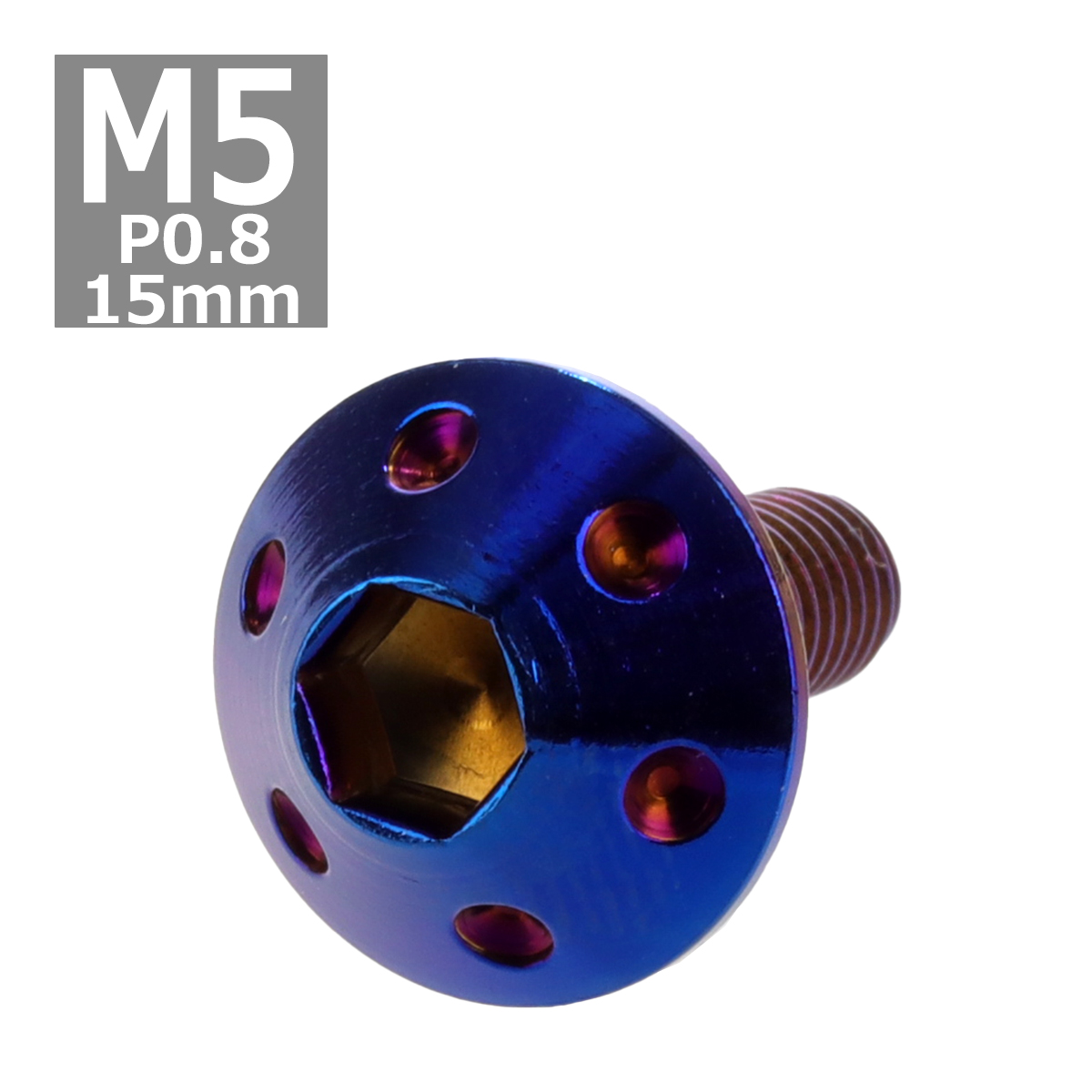 ボタンボルト M5×15mm P0.8 ホールヘッド ステンレス 焼きチタンカラー 1個 TR0075 | ブランド登録なし