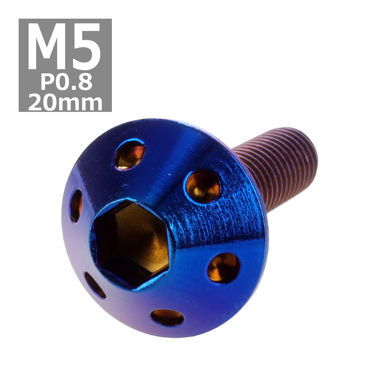 ボタンボルト M5×20mm P0.8 ホールヘッド ステンレス 焼きチタンカラー 1個 TR0076 | ブランド登録なし