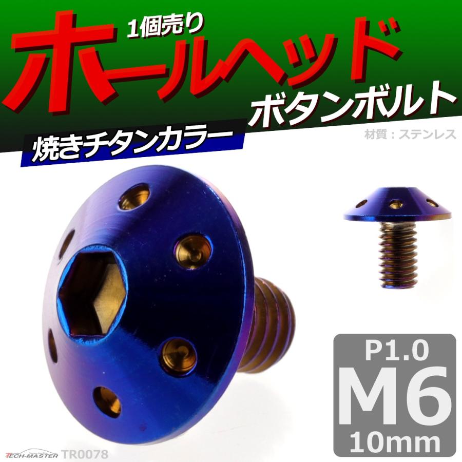ボタンボルト M6×10mm P1.0 ホールヘッド ステンレス 焼きチタンカラー 1個 TR0078 | ブランド登録なし | 01