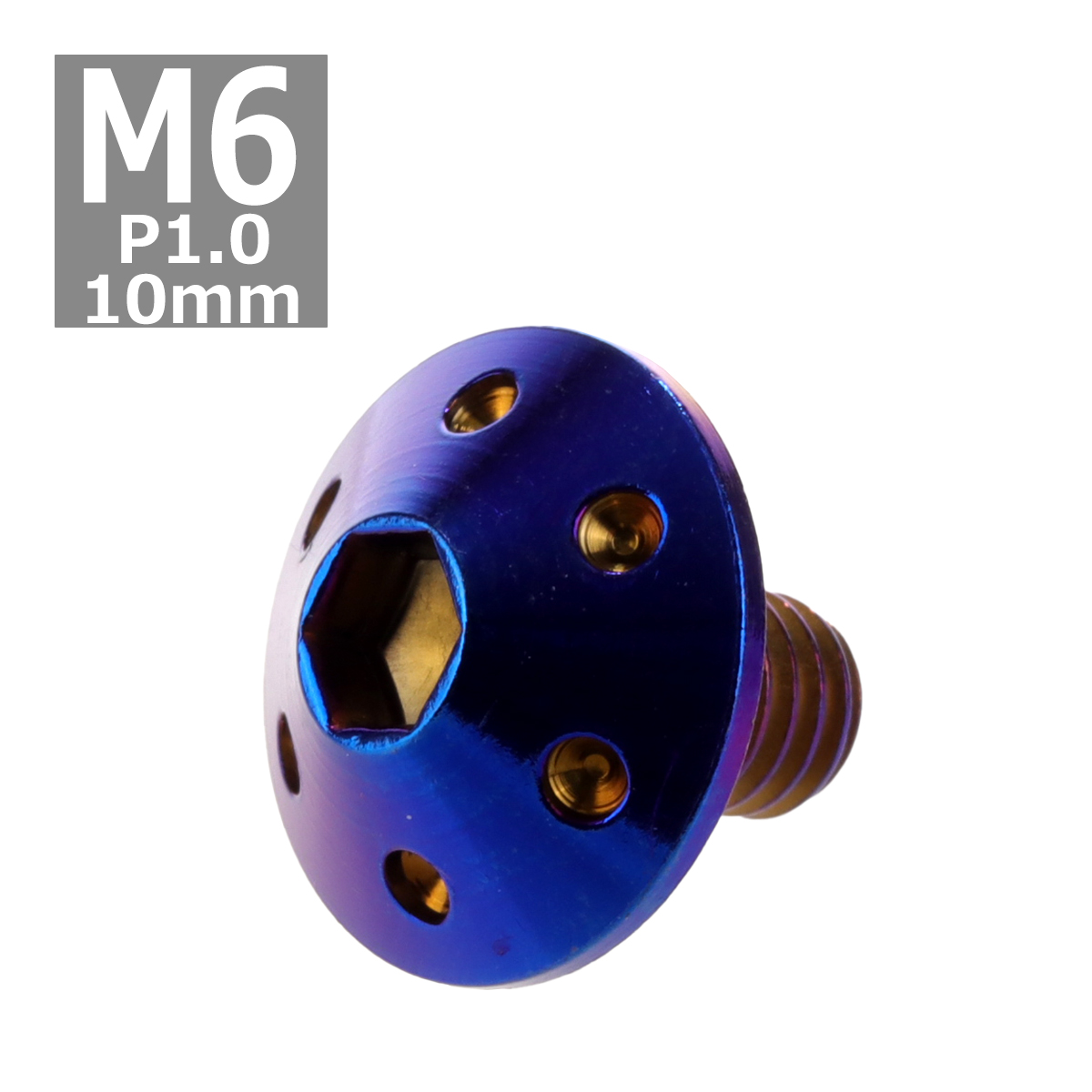 ボタンボルト M6×10mm P1.0 ホールヘッド ステンレス 焼きチタンカラー 1個 TR0078 | ブランド登録なし