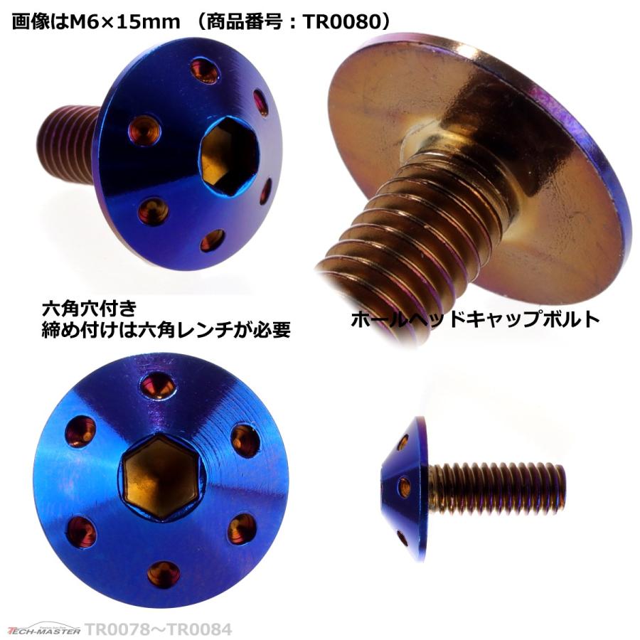 ボタンボルト M6×12mm P1.0 ホールヘッド ステンレス 焼きチタンカラー 1個 TR0079 | ブランド登録なし | 02