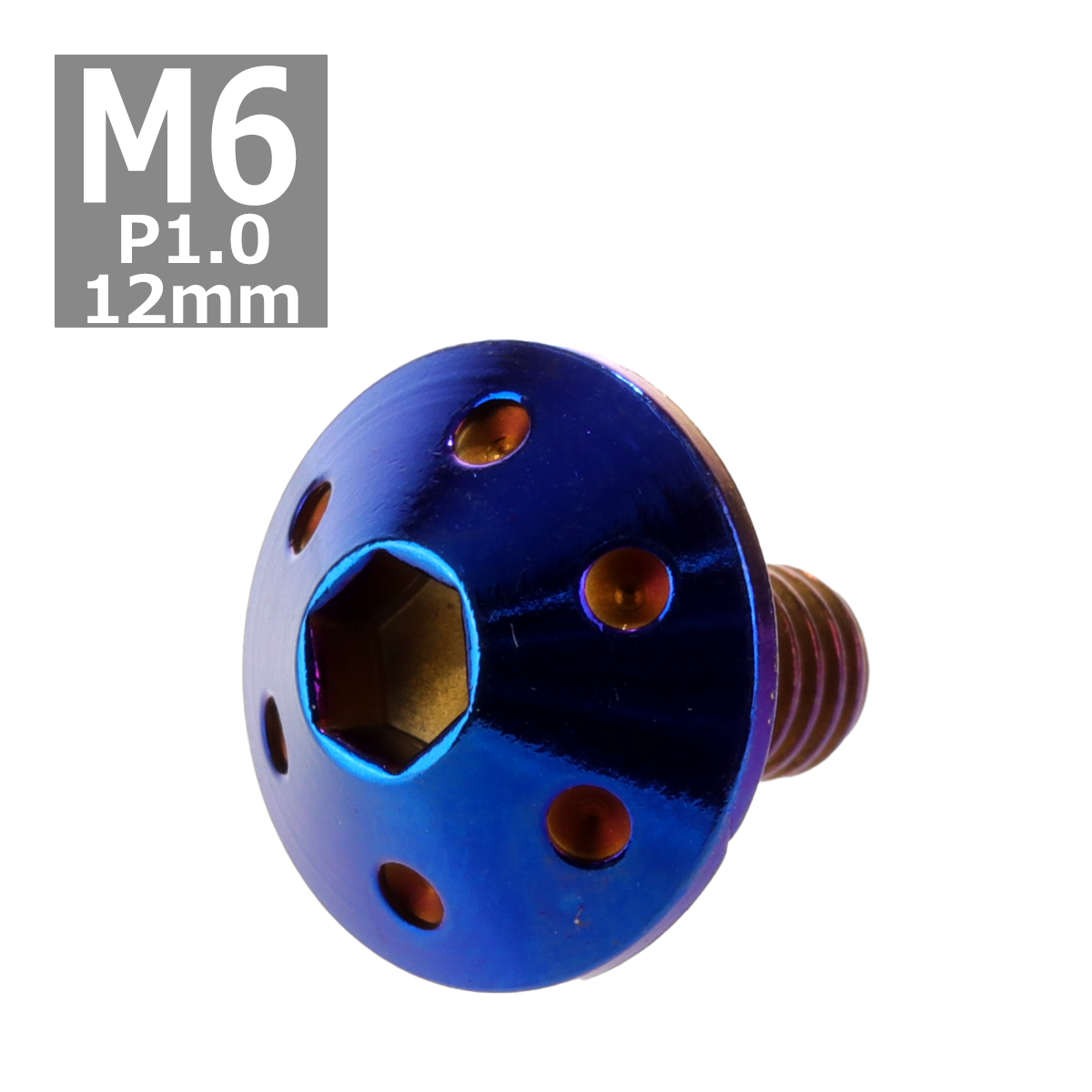 ボタンボルト M6×12mm P1.0 ホールヘッド ステンレス 焼きチタンカラー 1個 TR0079 | ブランド登録なし