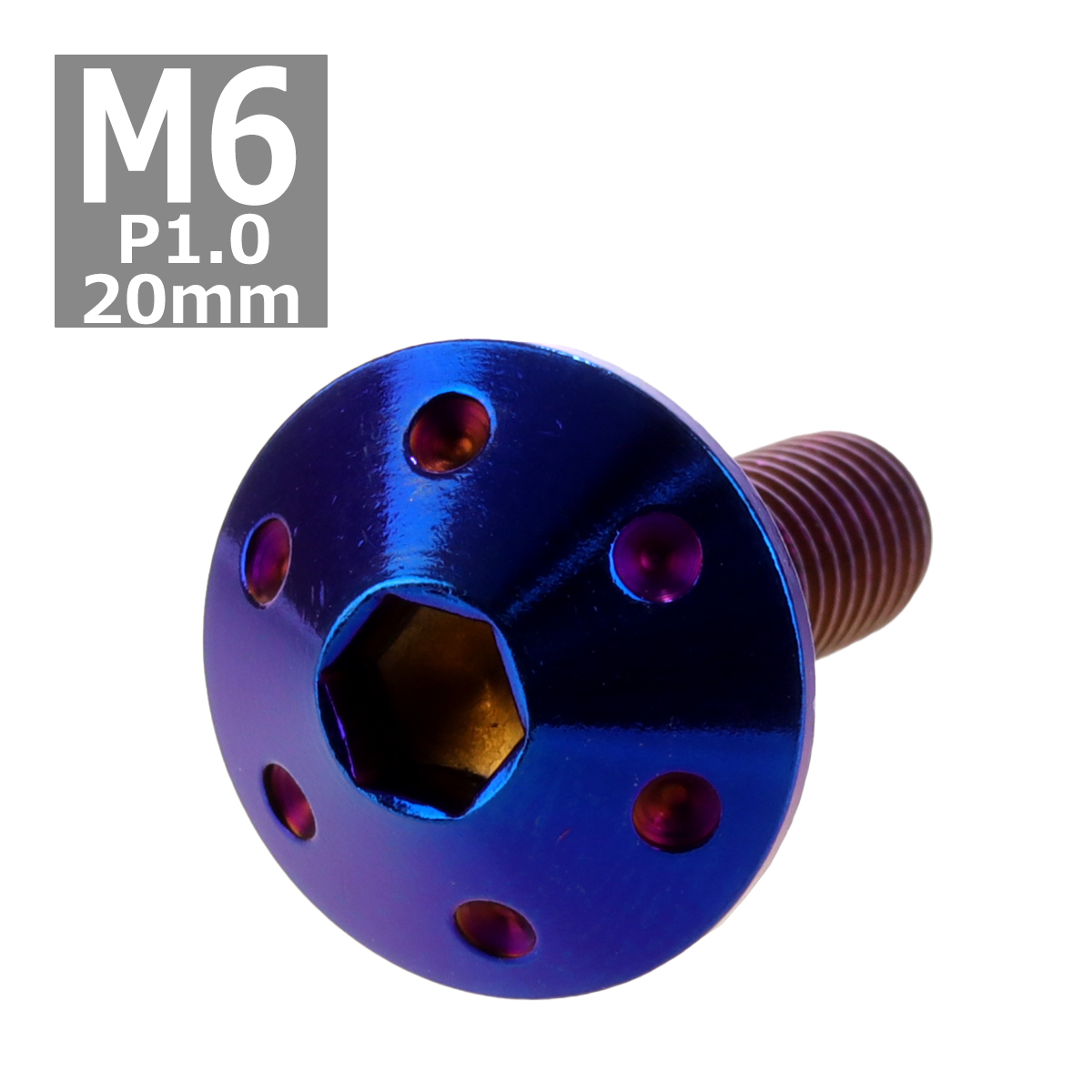 ボタンボルト M6×20mm P1.0 ホールヘッド ステンレス 焼きチタンカラー 1個 TR0081 | ブランド登録なし