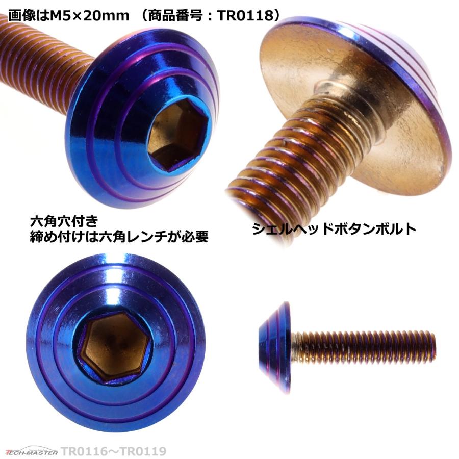 ボタンボルト M5×15mm P0.8 シェルヘッド ステンレス 焼きチタンカラー 1個 TR0117 | ブランド登録なし | 02