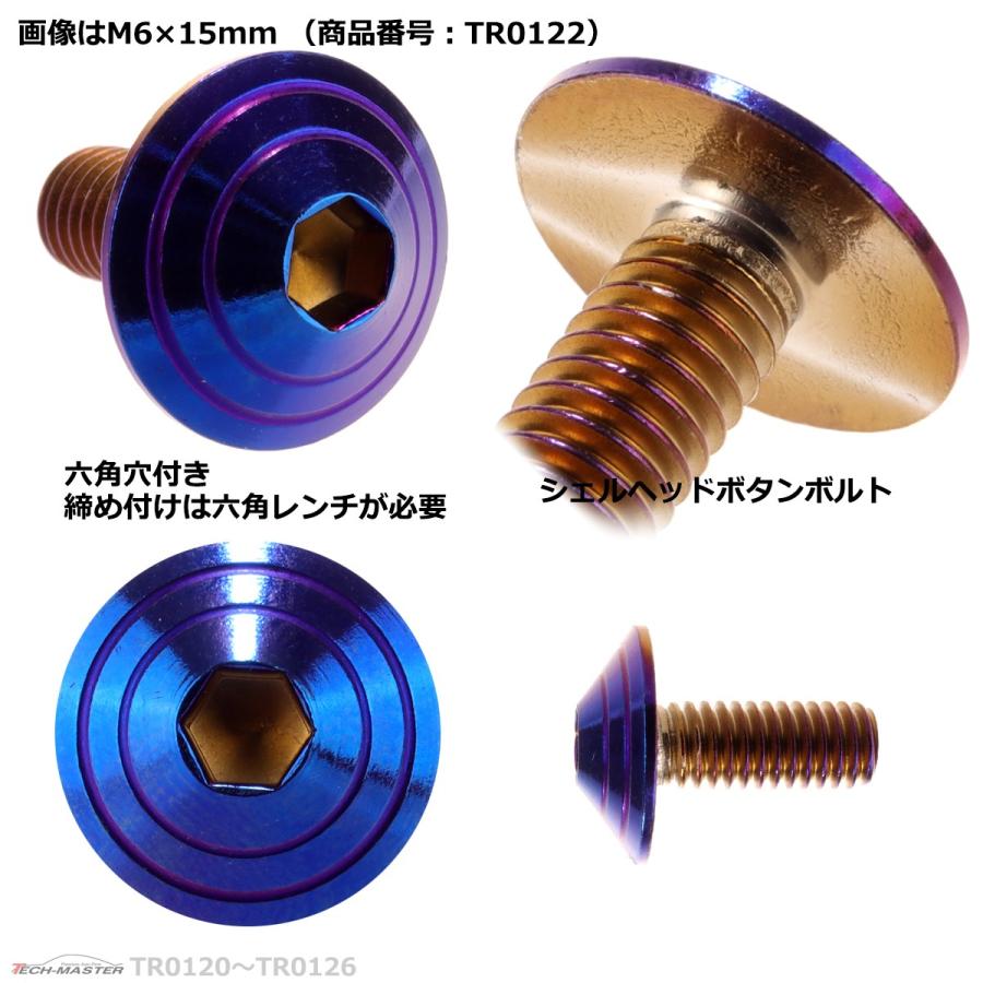 ボタンボルト M6×15mm P1.0 シェルヘッド ステンレス 焼きチタンカラー 1個 TR0122｜tech｜03