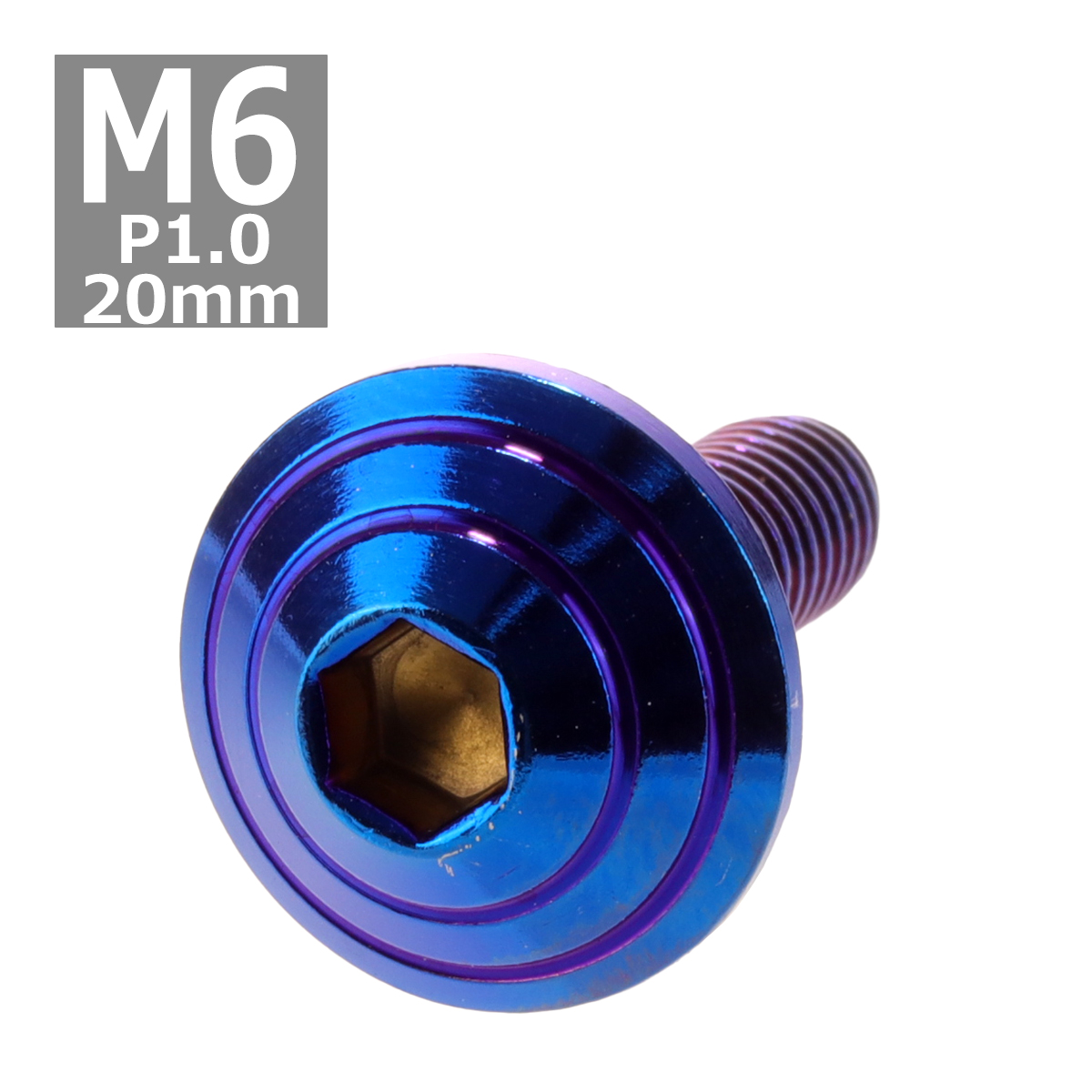 �{�^���{���g M6×20mm P1.0 �V�F���w�b�h �X�e�����X �Ă��`�^���J���[ 1�� TR0123