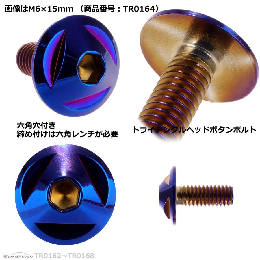 ボタンボルト M6×10mm P1.0 トライアングルヘッド ステンレス 焼きチタンカラー 1個 TR0162 | ブランド登録なし | 02