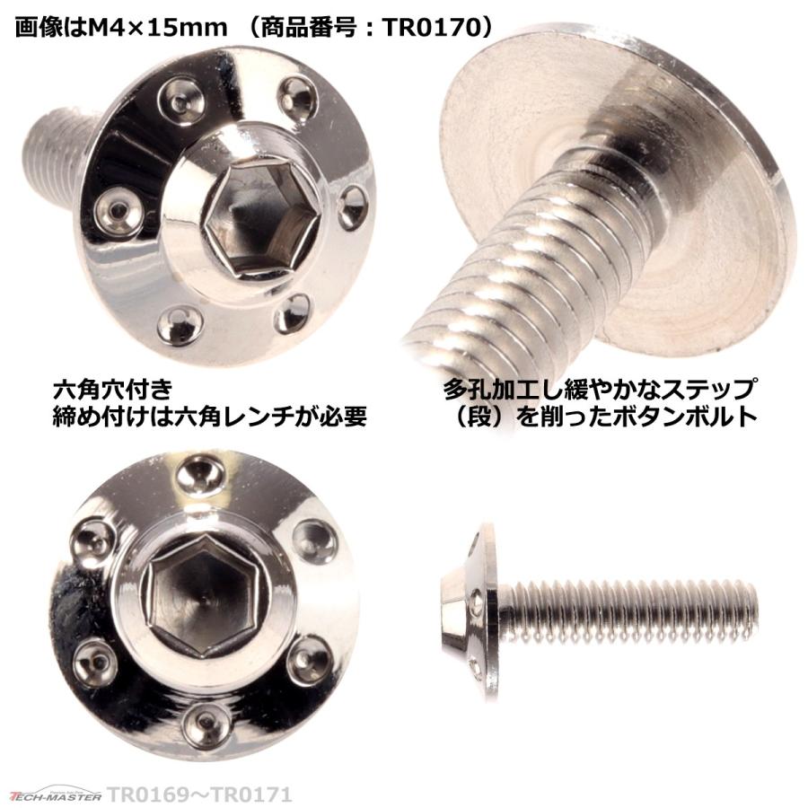 ボタンボルト M4×15mm P0.7 ホールヘッド H-1 ステンレス シルバー 1個 TR0170 | ブランド登録なし | 02