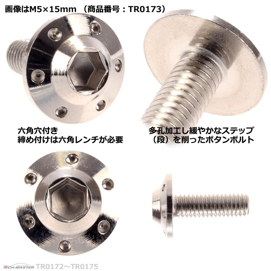 ボタンボルト M5×25mm P0.8 ホールヘッド H-1 ステンレス シルバー 1個 TR0175 | ブランド登録なし | 02