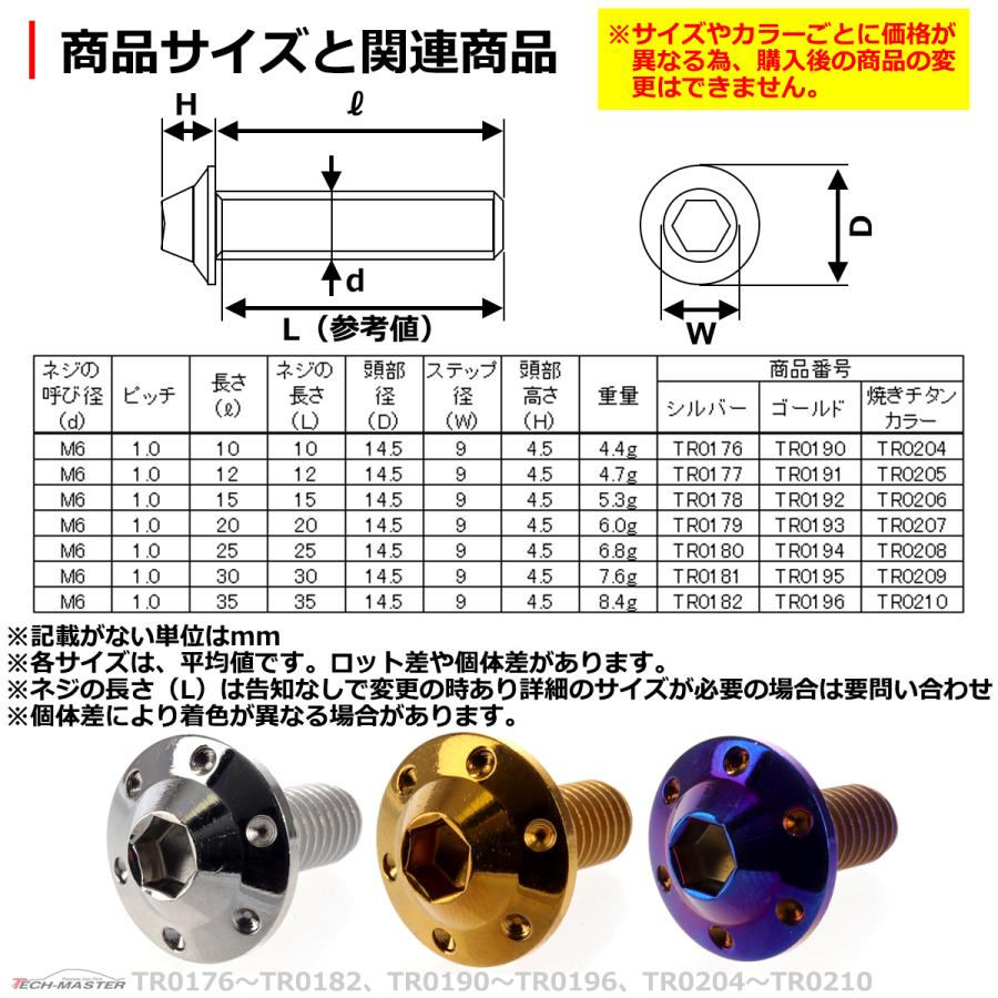 ボタンボルト M6×12mm P1.0 ホールヘッド H-1 ステンレス ゴールド 1個 TR0191｜tech｜04