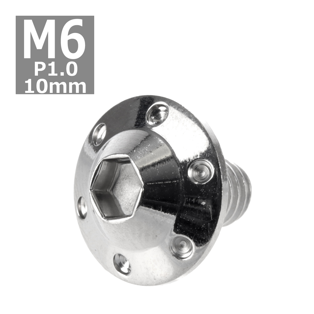ボタンボルト M6×10mm P1.0 ホールヘッド H-1 ステンレス シルバー 1個 TR0176 | ブランド登録なし