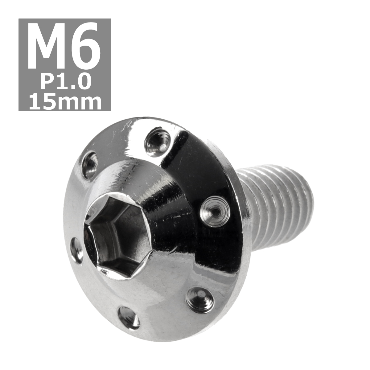 ボタンボルト M6×15mm P1.0 ホールヘッド H-1 ステンレス シルバー 1個 TR0178 | ブランド登録なし