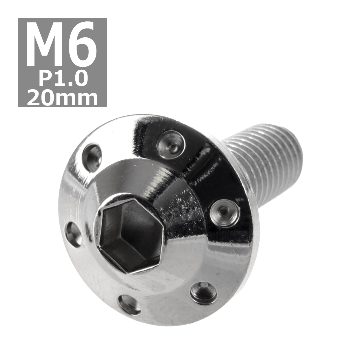 ボタンボルト M6×20mm P1.0 ホールヘッド H-1 ステンレス シルバー 1個 TR0179