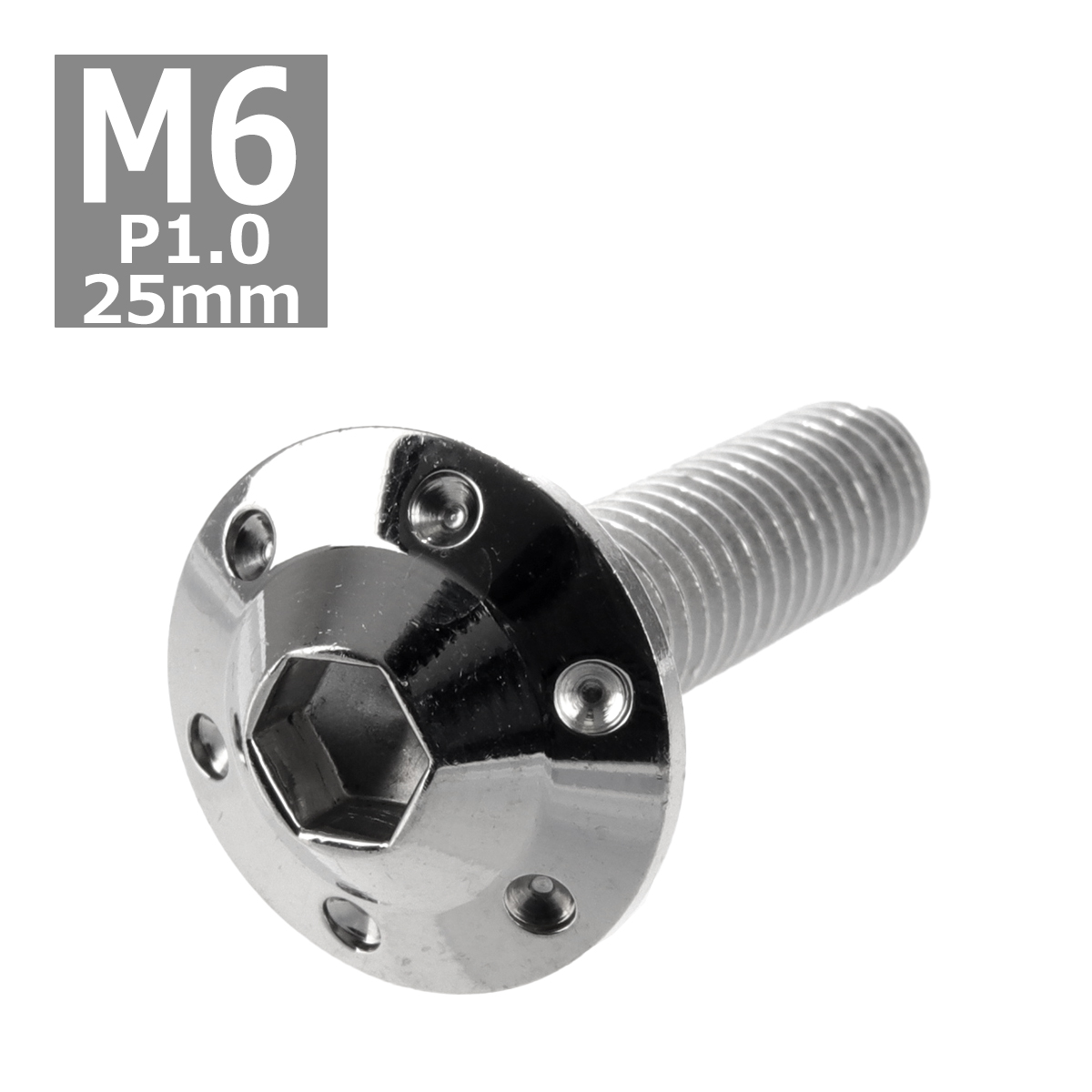 ボタンボルト M6×25mm P1.0 ホールヘッド H-1 ステンレス シルバー 1個 TR0180 | ブランド登録なし