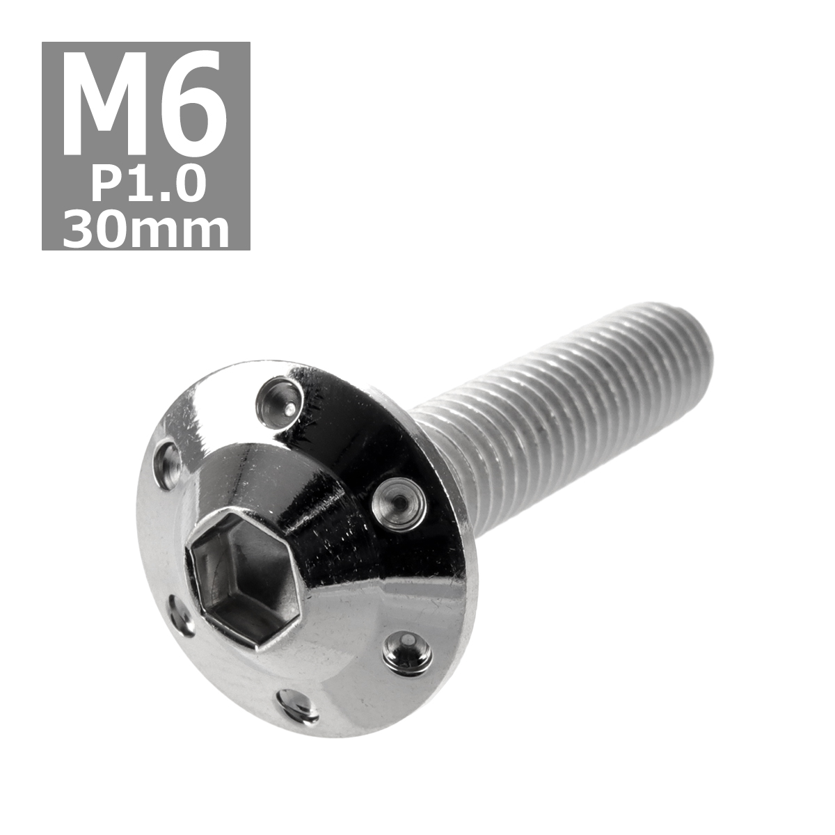 ボタンボルト M6×30mm P1.0 ホールヘッド H-1 ステンレス シルバー 1個 TR0181 | ブランド登録なし