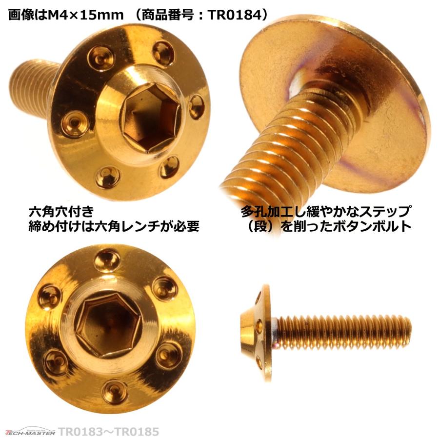ボタンボルト M4×15mm P0.7 ホールヘッド H-1 ステンレス ゴールド 1個 TR0184 | ブランド登録なし | 02