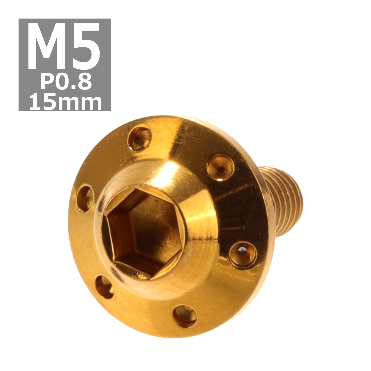 ボタンボルト M5×15mm P0.8 ホールヘッド H-1 ステンレス ゴールド 1個 TR0187 | ブランド登録なし
