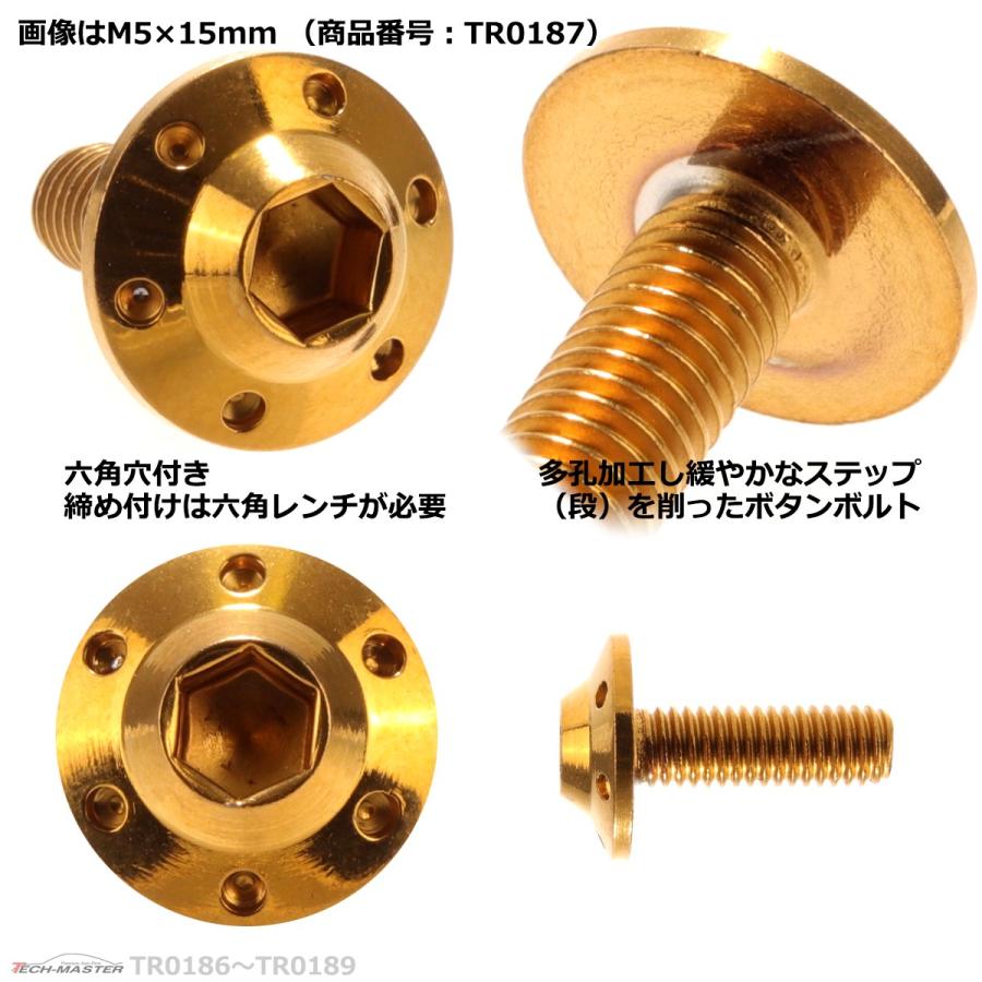 ボタンボルト M5×25mm P0.8 ホールヘッド H-1 ステンレス ゴールド 1個 TR0189 | ブランド登録なし | 02