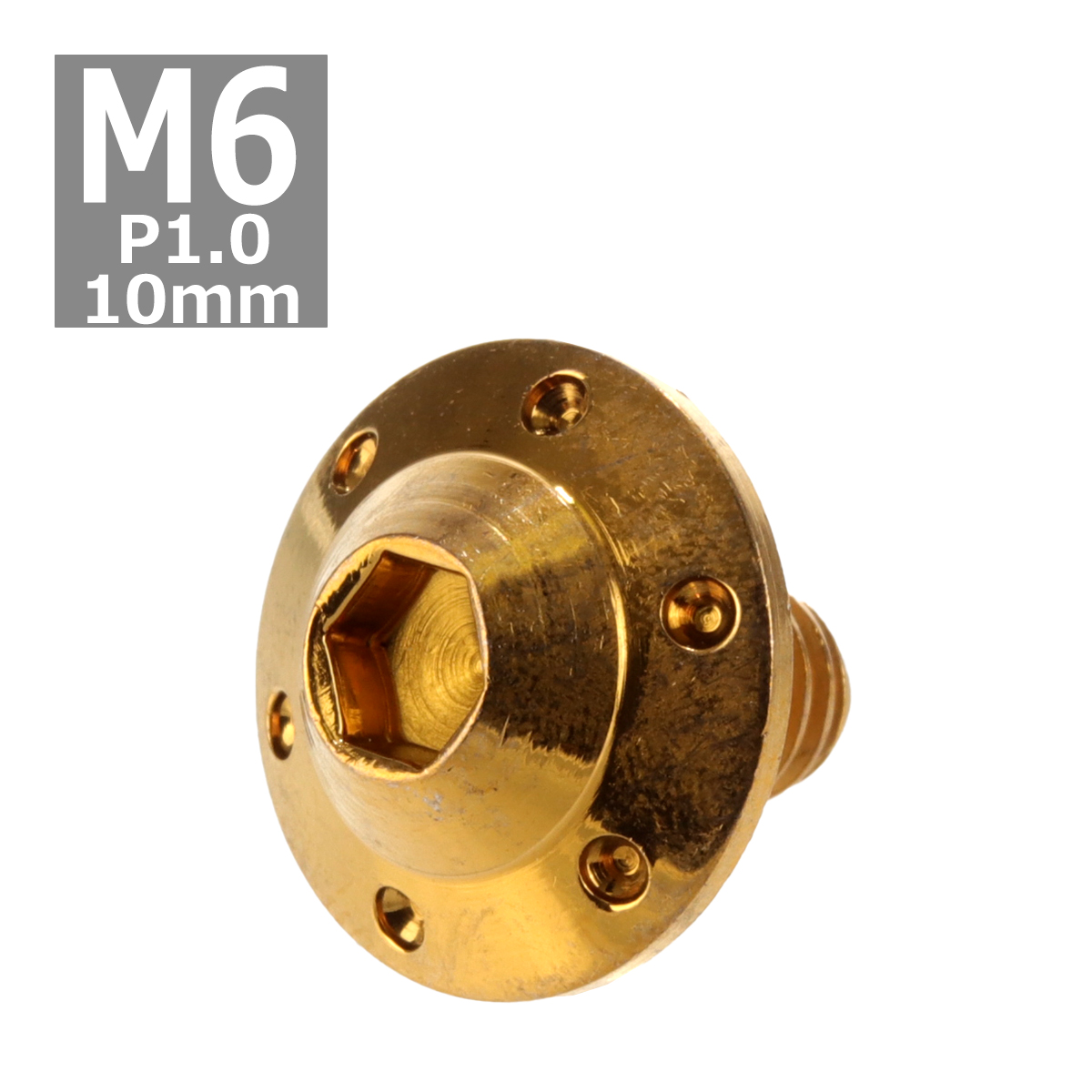 ボタンボルト M6×10mm P1.0 ホールヘッド H-1 ステンレス ゴールド 1個 TR0190 | ブランド登録なし