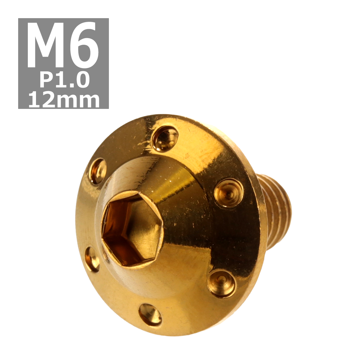 ボタンボルト M6×12mm P1.0 ホールヘッド H-1 ステンレス ゴールド 1個 TR0191