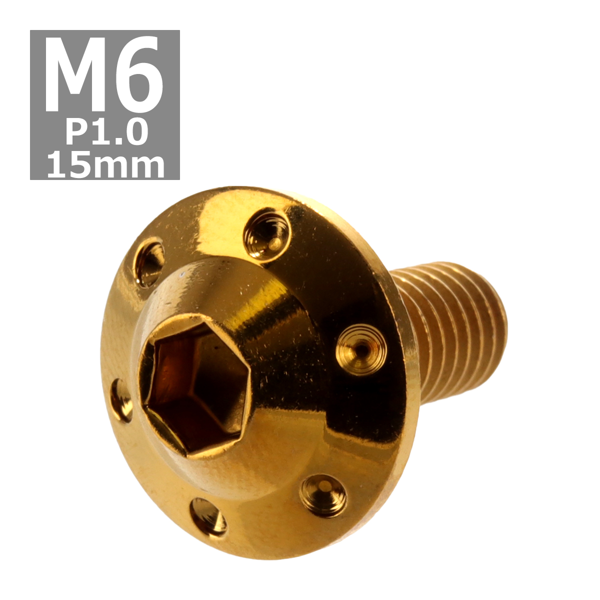 ボタンボルト M6×15mm P1.0 ホールヘッド H-1 ステンレス ゴールド 1個 TR0192 | ブランド登録なし