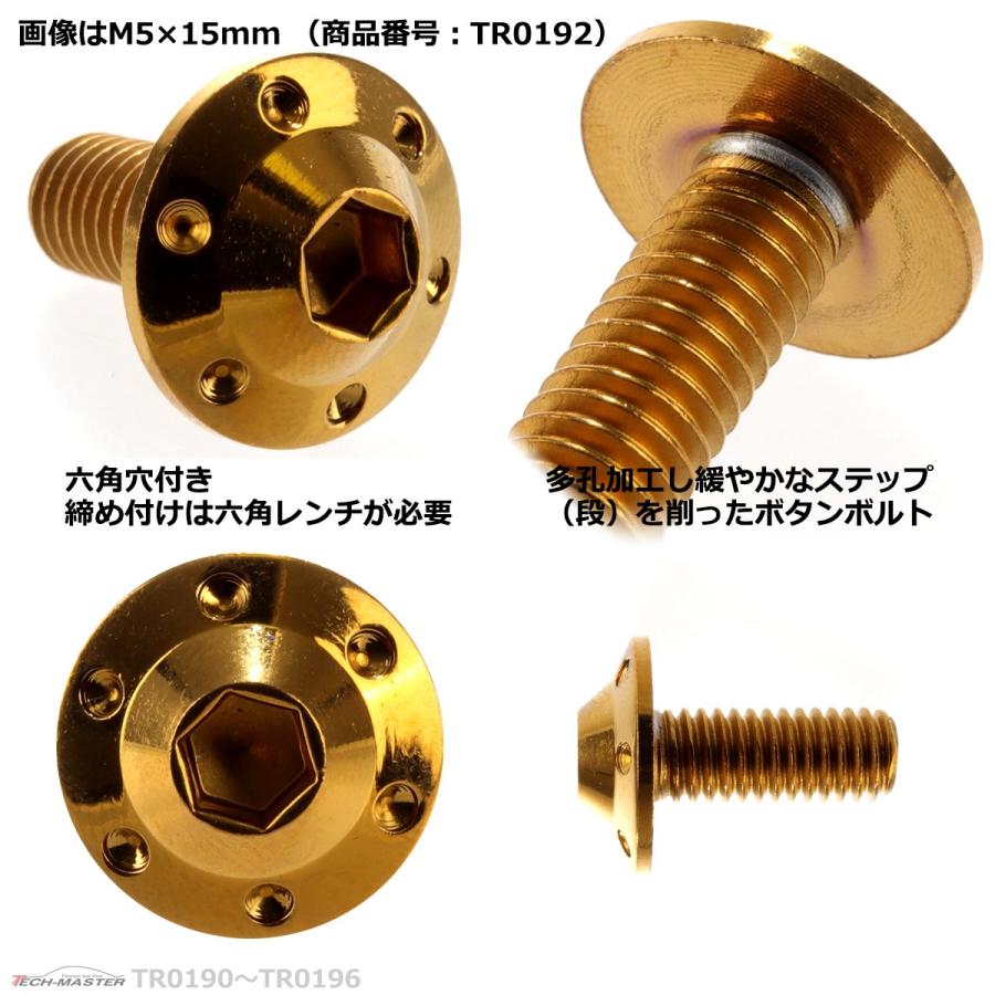 ボタンボルト M6×20mm P1.0 ホールヘッド H-1 ステンレス ゴールド 1個 TR0193 | ブランド登録なし | 02