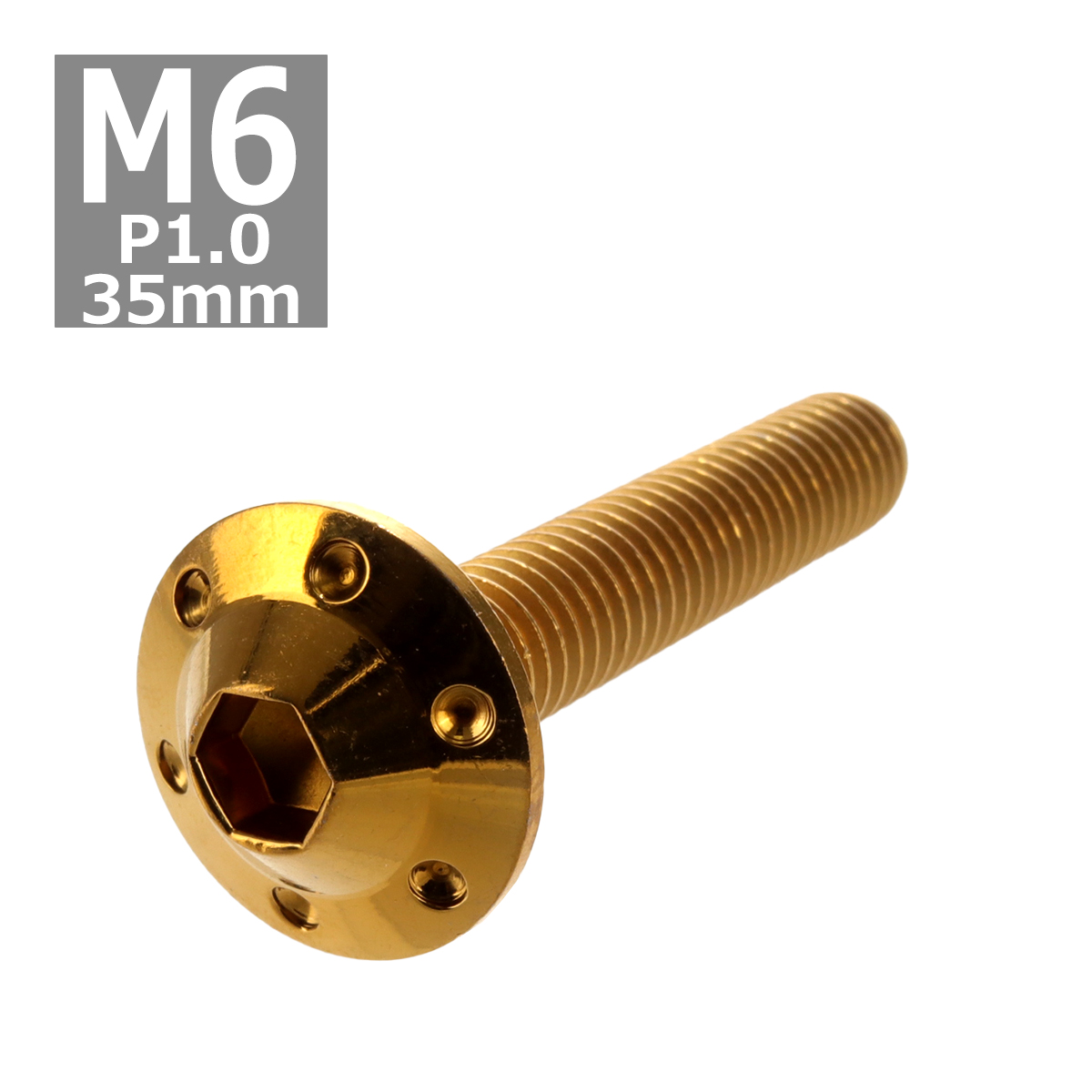 ボタンボルト M6×35mm P1.0 ホールヘッド H-1 ステンレス ゴールド 1個 TR0196 | ブランド登録なし