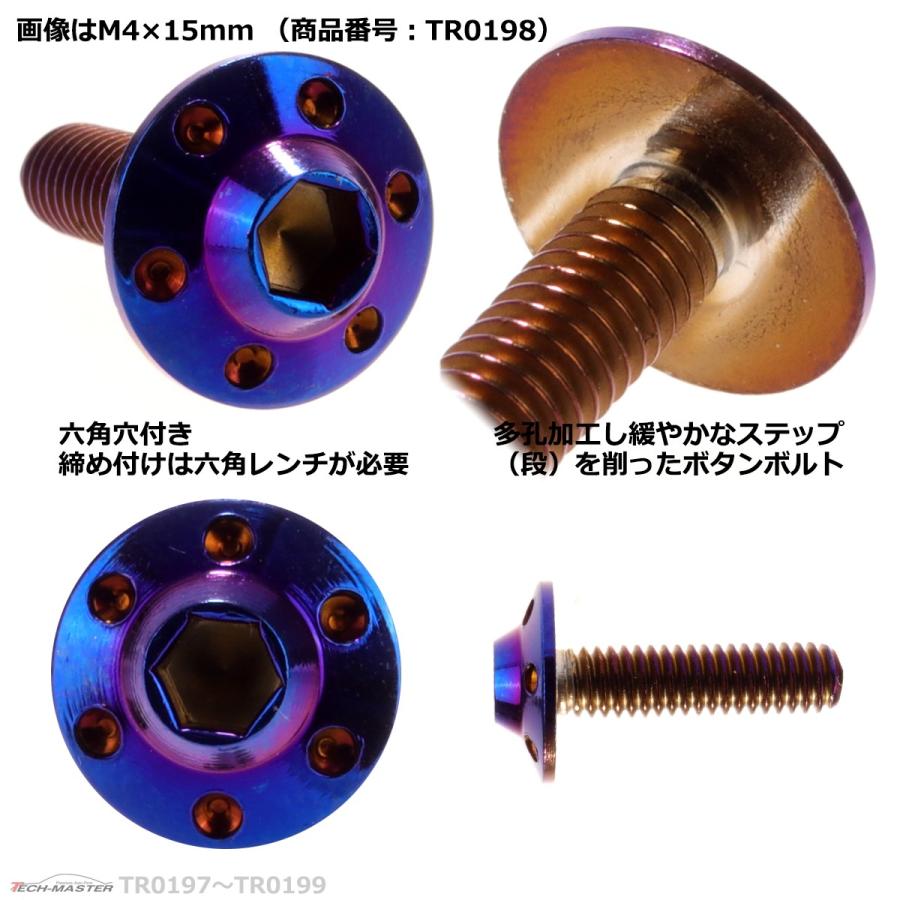 ボタンボルト M4×12mm P0.7 ホールヘッド H-1 ステンレス 焼きチタンカラー 1個 TR0197 | ブランド登録なし | 02