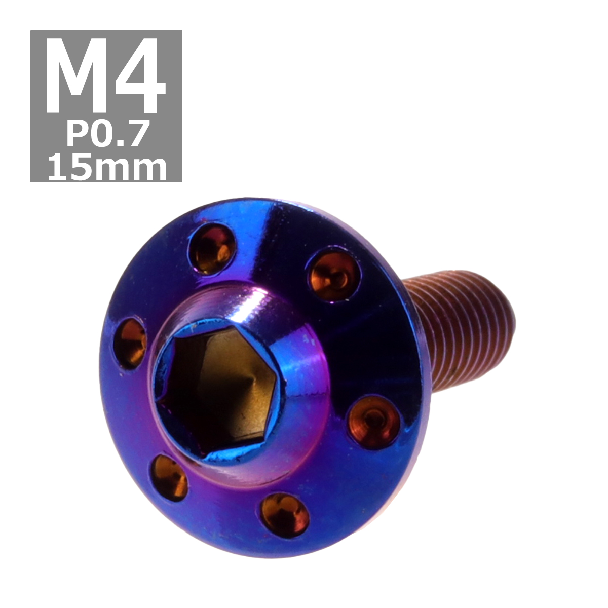 ボタンボルト M4×15mm P0.7 ホールヘッド H-1 ステンレス 焼きチタンカラー 1個 TR0198 | ブランド登録なし