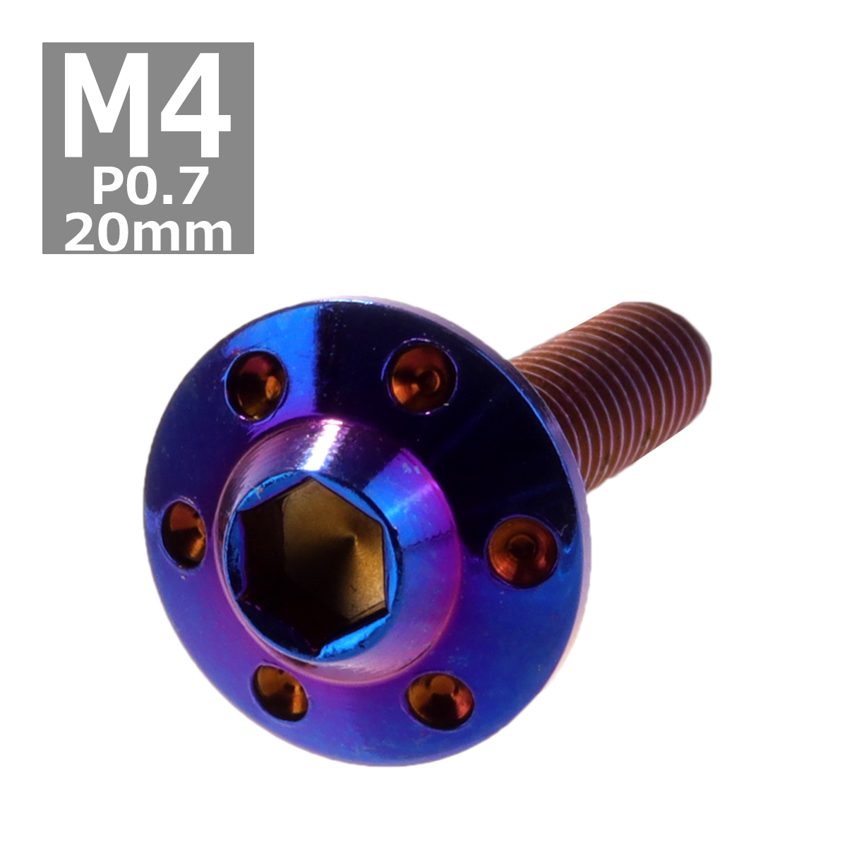 ボタンボルト M4×20mm P0.7 ホールヘッド H-1 ステンレス 焼きチタンカラー 1個 TR0199 | ブランド登録なし