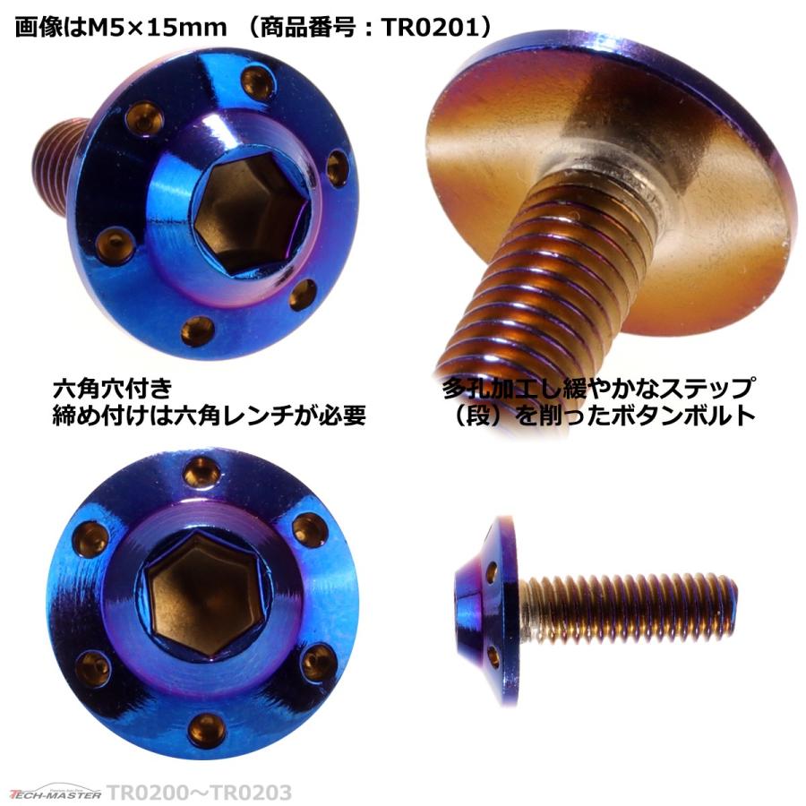 ボタンボルト M5×15mm P0.8 ホールヘッド H-1 ステンレス 焼きチタンカラー 1個 TR0201 | ブランド登録なし | 02
