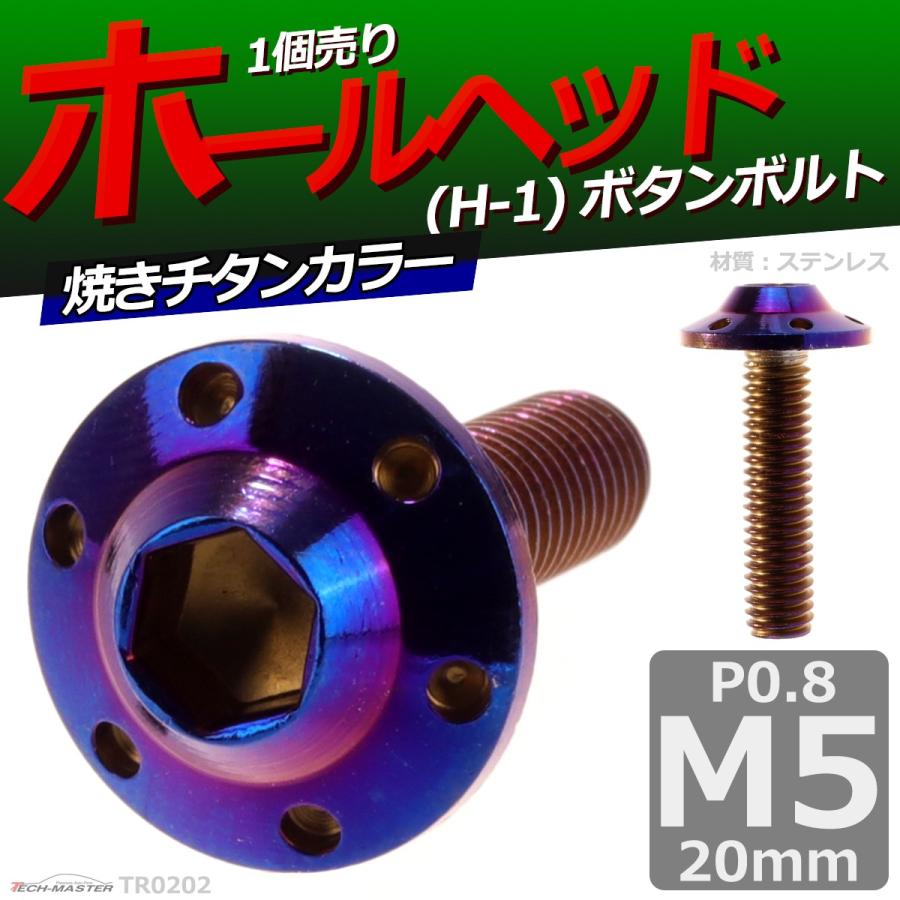 ボタンボルト M5×20mm P0.8 ホールヘッド H-1 ステンレス 焼きチタンカラー 1個 TR0202 | ブランド登録なし | 01