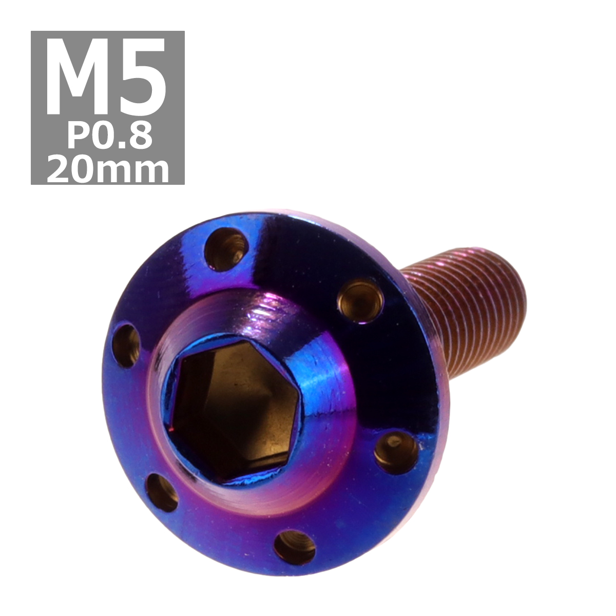 ボタンボルト M5×20mm P0.8 ホールヘッド H-1 ステンレス 焼きチタンカラー 1個 TR0202 | ブランド登録なし