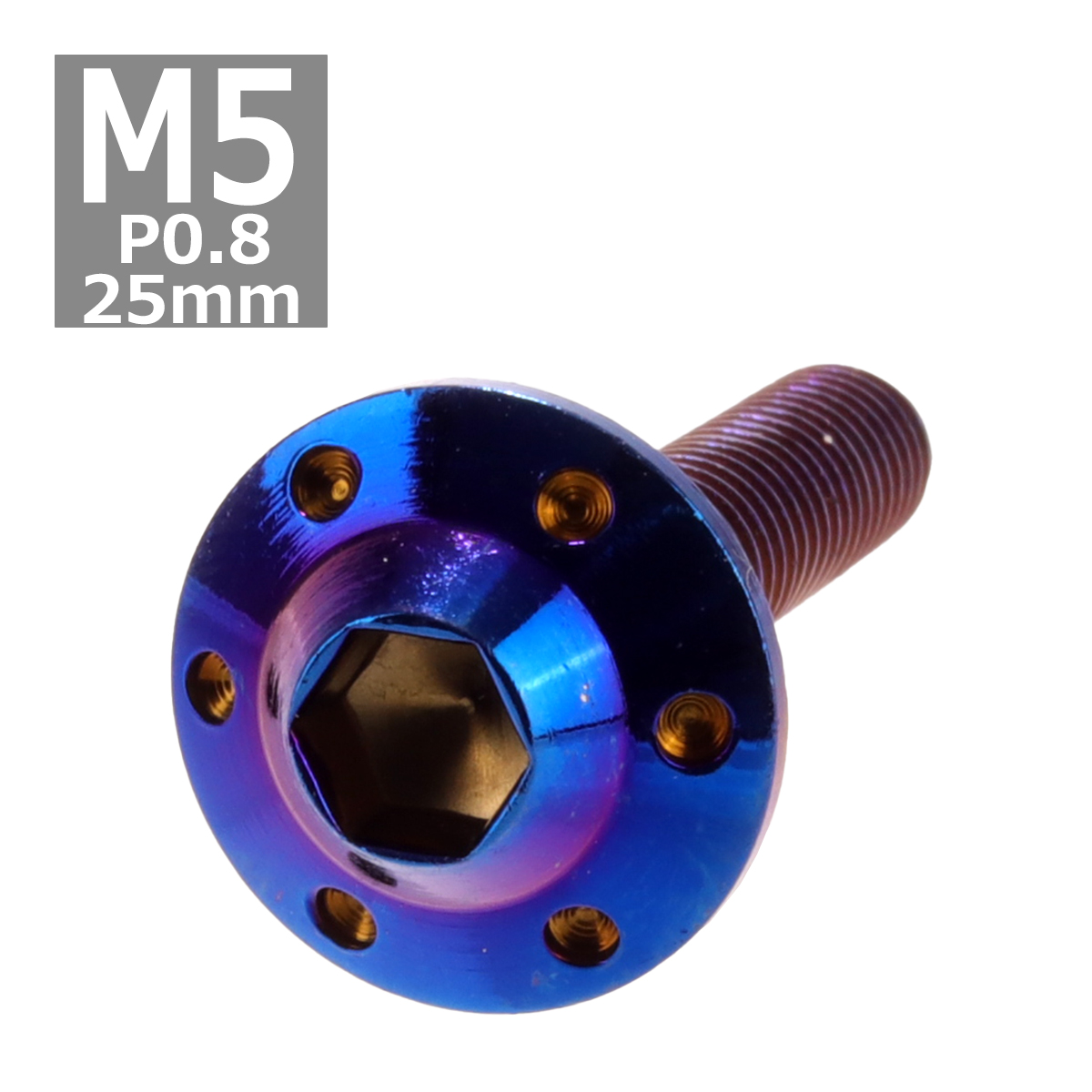 ボタンボルト M5×25mm P0.8 ホールヘッド H-1 ステンレス 焼きチタンカラー 1個 TR0203 | ブランド登録なし
