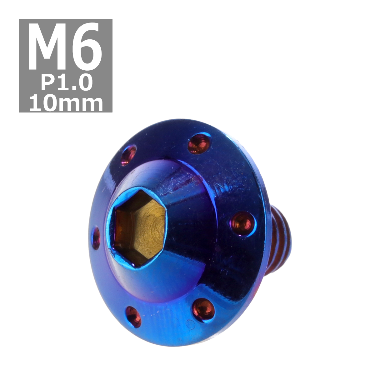ボタンボルト M6×10mm P1.0 ホールヘッド H-1 ステンレス 焼きチタンカラー 1個 TR0204 | ブランド登録なし