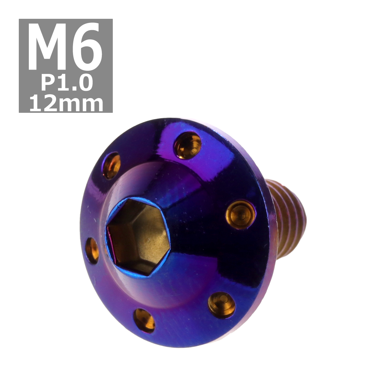 ボタンボルト M6×12mm P1.0 ホールヘッド H-1 ステンレス 焼きチタンカラー 1個 TR0205 | ブランド登録なし
