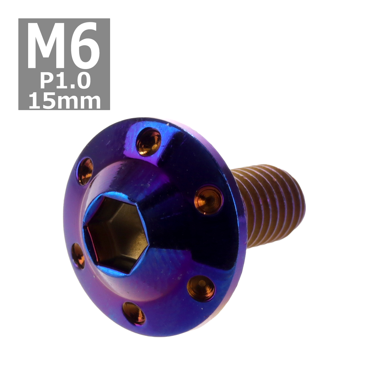ボタンボルト M6×15mm P1.0 ホールヘッド H-1 ステンレス 焼きチタンカラー 1個 TR0206 | ブランド登録なし