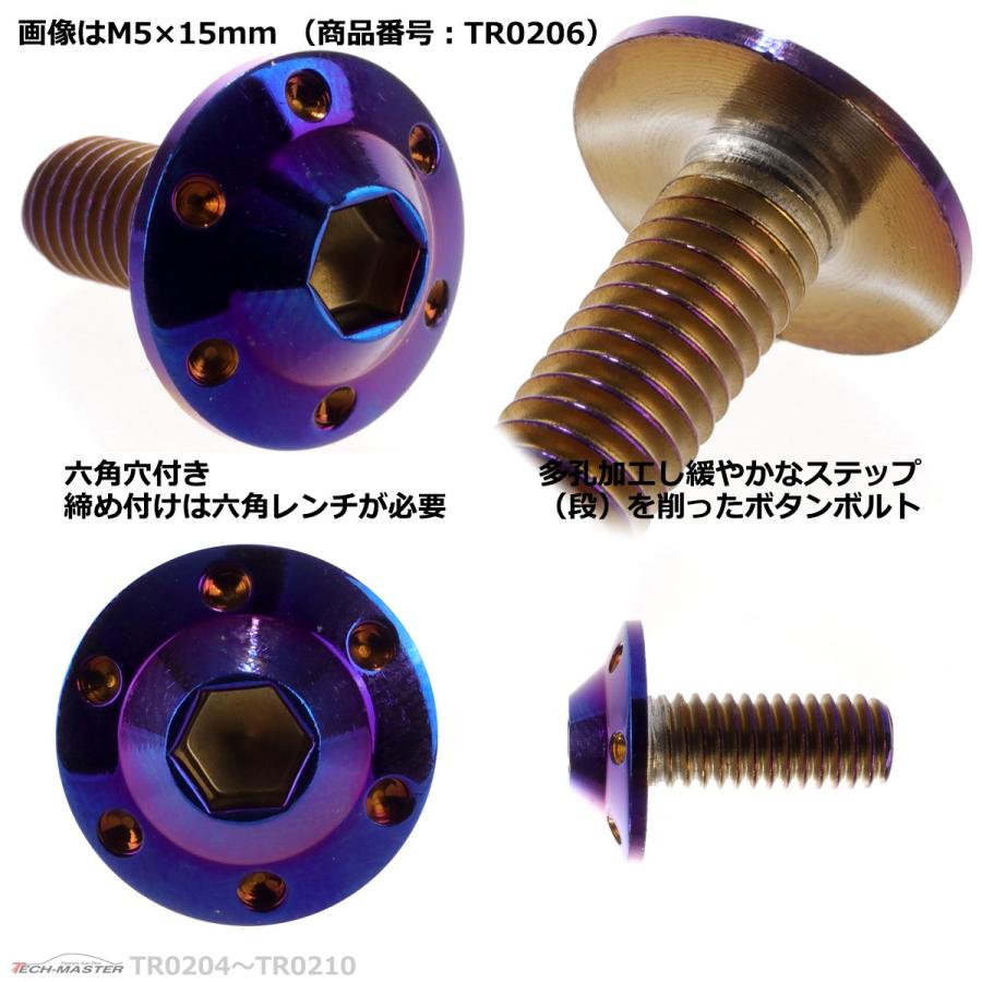 ボタンボルト M6×20mm P1.0 ホールヘッド H-1 ステンレス 焼きチタンカラー 1個 TR0207 | ブランド登録なし | 02