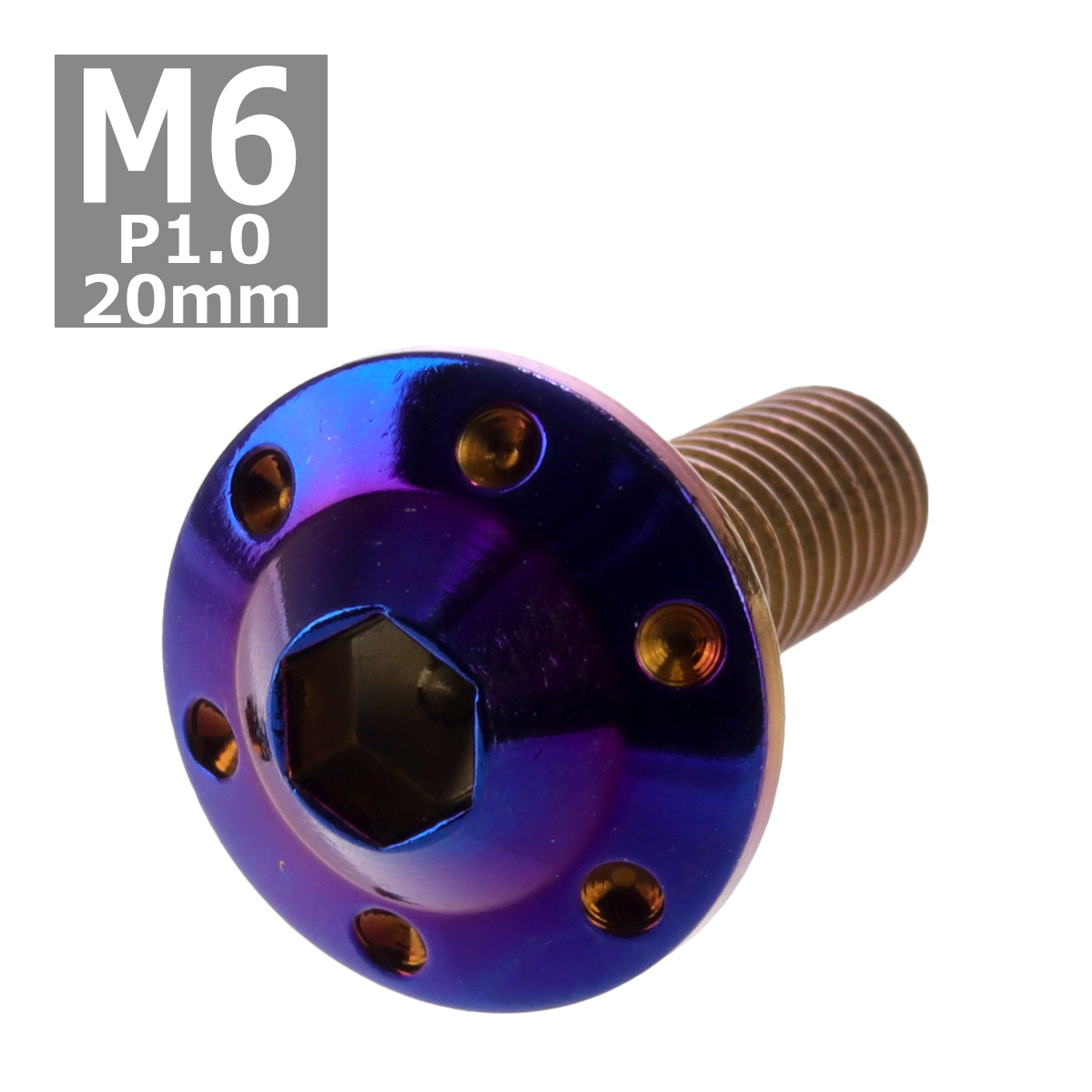 ボタンボルト M6×20mm P1.0 ホールヘッド H-1 ステンレス 焼きチタンカラー 1個 TR0207 | ブランド登録なし
