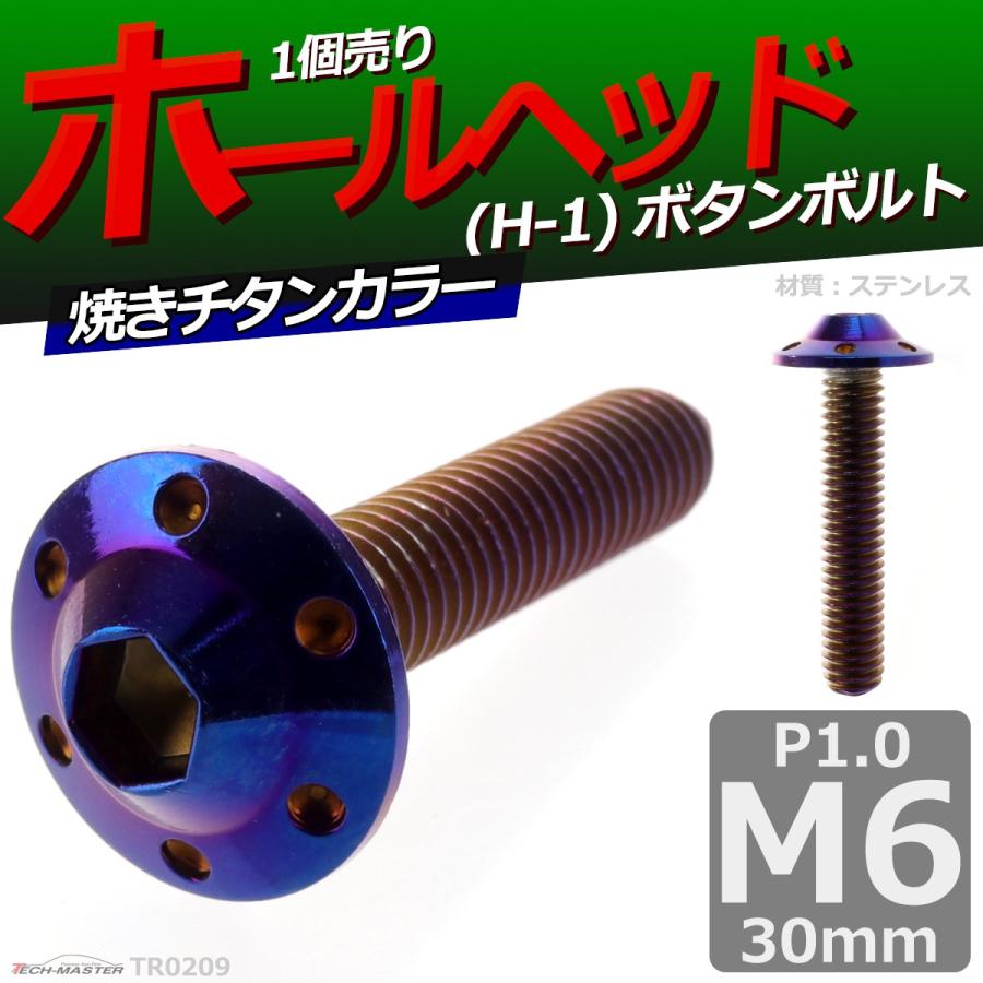 ボタンボルト M6×30mm P1.0 ホールヘッド H-1 ステンレス 焼きチタンカラー 1個 TR0209 | ブランド登録なし | 01