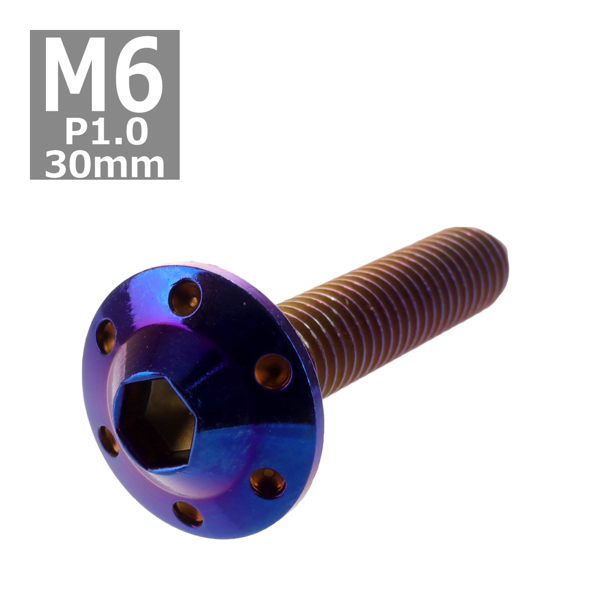 ボタンボルト M6×30mm P1.0 ホールヘッド H-1 ステンレス 焼きチタンカラー 1個 TR0209 | ブランド登録なし