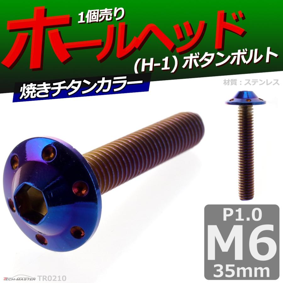 ボタンボルト M6×35mm P1.0 ホールヘッド H-1 ステンレス 焼きチタンカラー 1個 TR0210 | ブランド登録なし | 01