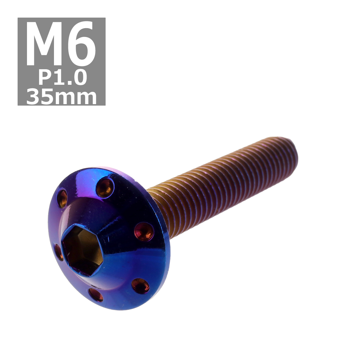 ボタンボルト M6×35mm P1.0 ホールヘッド H-1 ステンレス 焼きチタンカラー 1個 TR0210 | ブランド登録なし