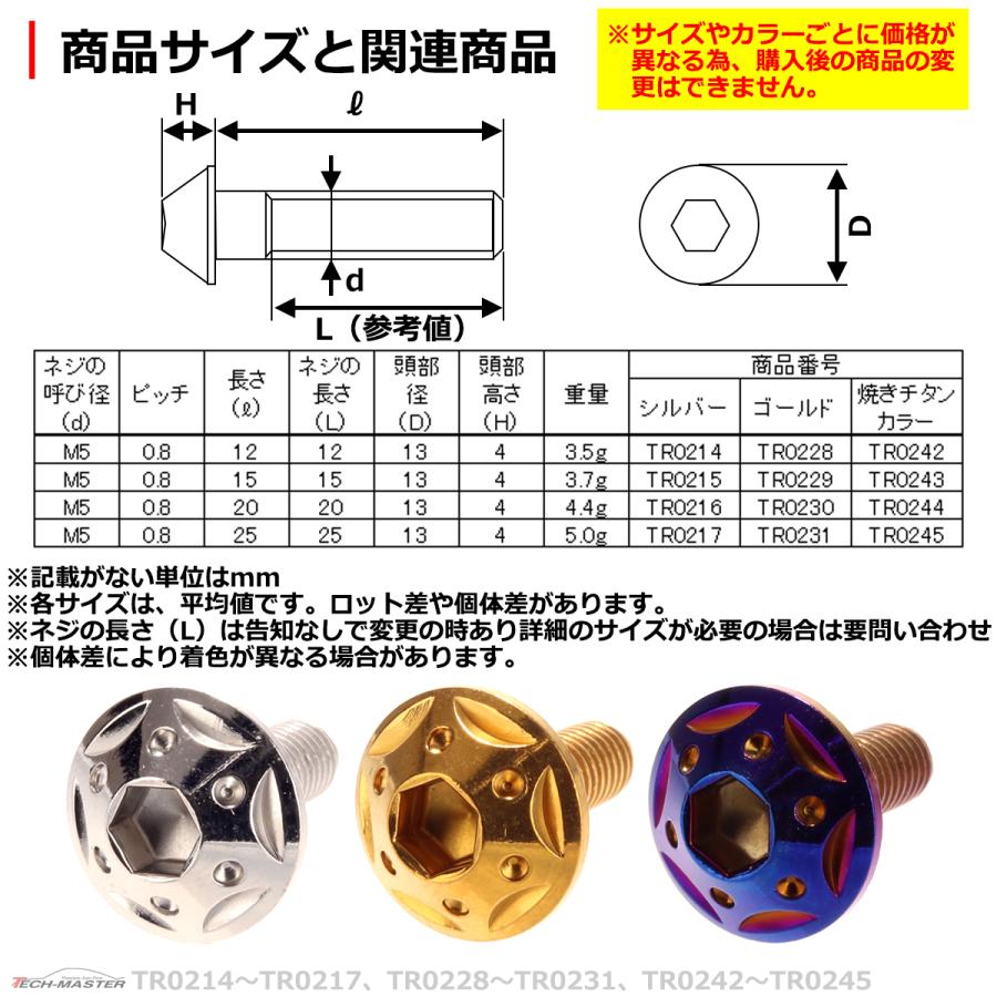 ボタンボルト M5×20mm P0.8 スターホールヘッド ステンレス 焼きチタンカラー 1個 TR0244 | ブランド登録なし | 03
