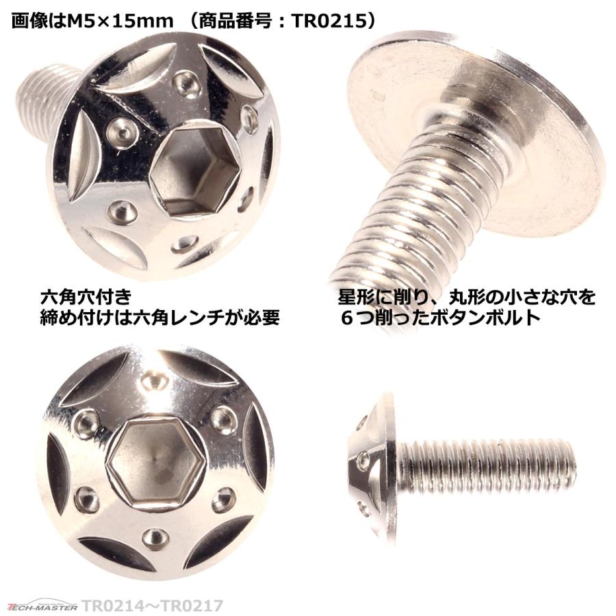 ボタンボルト M5×25mm P0.8 スターホールヘッド ステンレス シルバー 1個 TR0217 | ブランド登録なし | 02