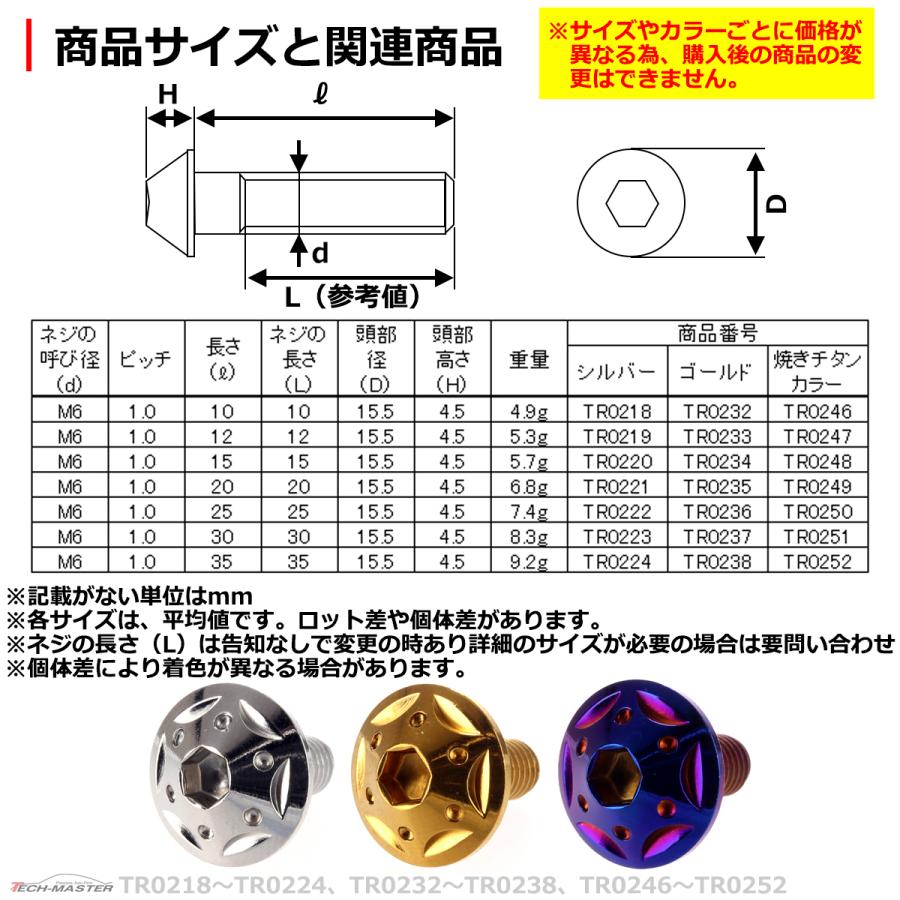 ボタンボルト M6×15mm P1.0 スターホールヘッド ステンレス 焼きチタンカラー 1個 TR0248 | ブランド登録なし | 03