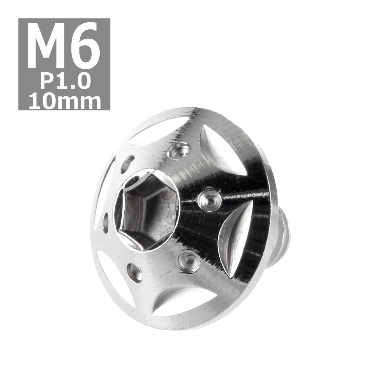 ボタンボルト M6×10mm P1.0 スターホールヘッド ステンレス シルバー 1個 TR0218 | ブランド登録なし