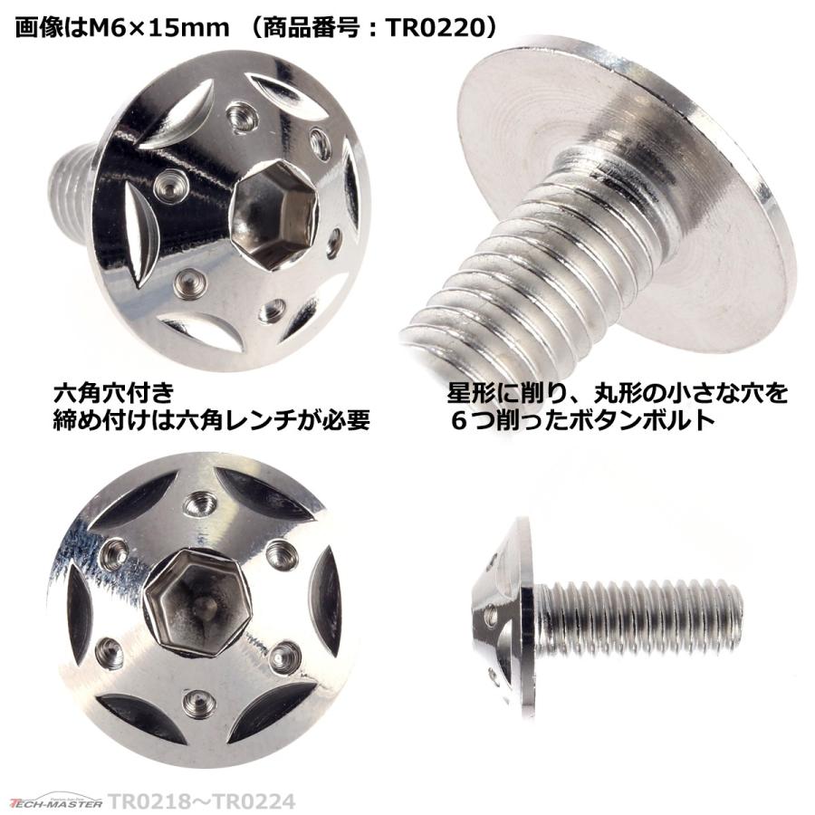 ボタンボルト M6×20mm P1.0 スターホールヘッド ステンレス シルバー 1個 TR0221 | ブランド登録なし | 02