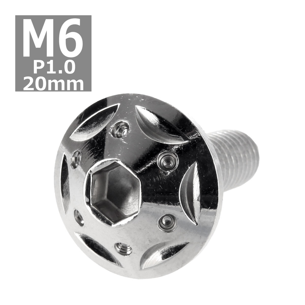 ボタンボルト M6×20mm P1.0 スターホールヘッド ステンレス シルバー 1個 TR0221 | ブランド登録なし